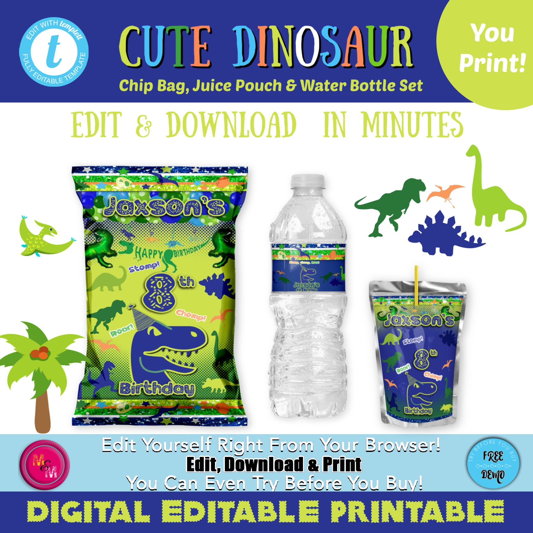 Editable Dinosaur Chip Bag Set, Dinosaur Party Kit, Dinosaur Party