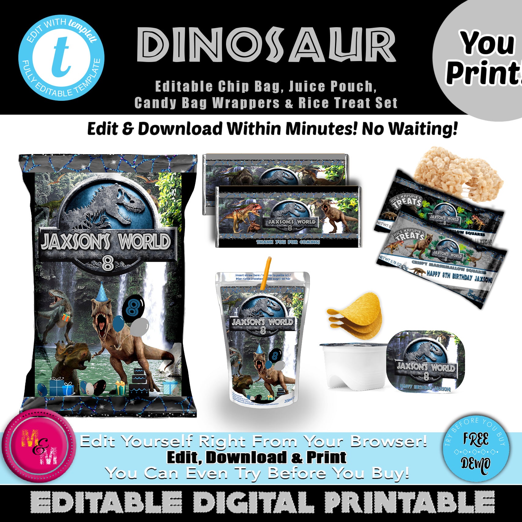 Editable Dinosaur Chip Bag Set, Dinosaur Party Kit, Dinosaur Party Favors, Dinosaur Party Favors