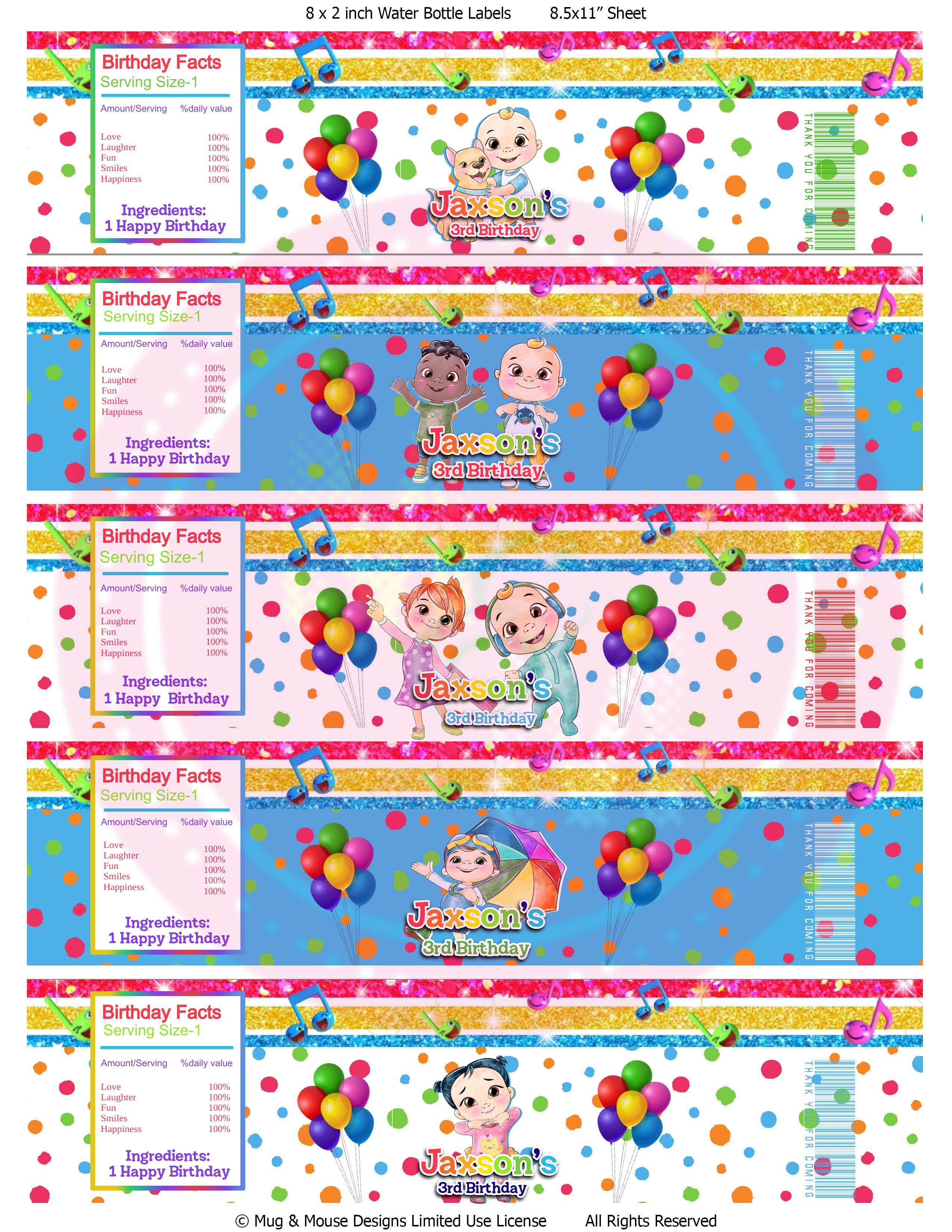 Editable Melon Kids Chip Bag Set, Melon Kids Party Decorations, Melon Kids Party Favors, Melon Kids Treat Bags
