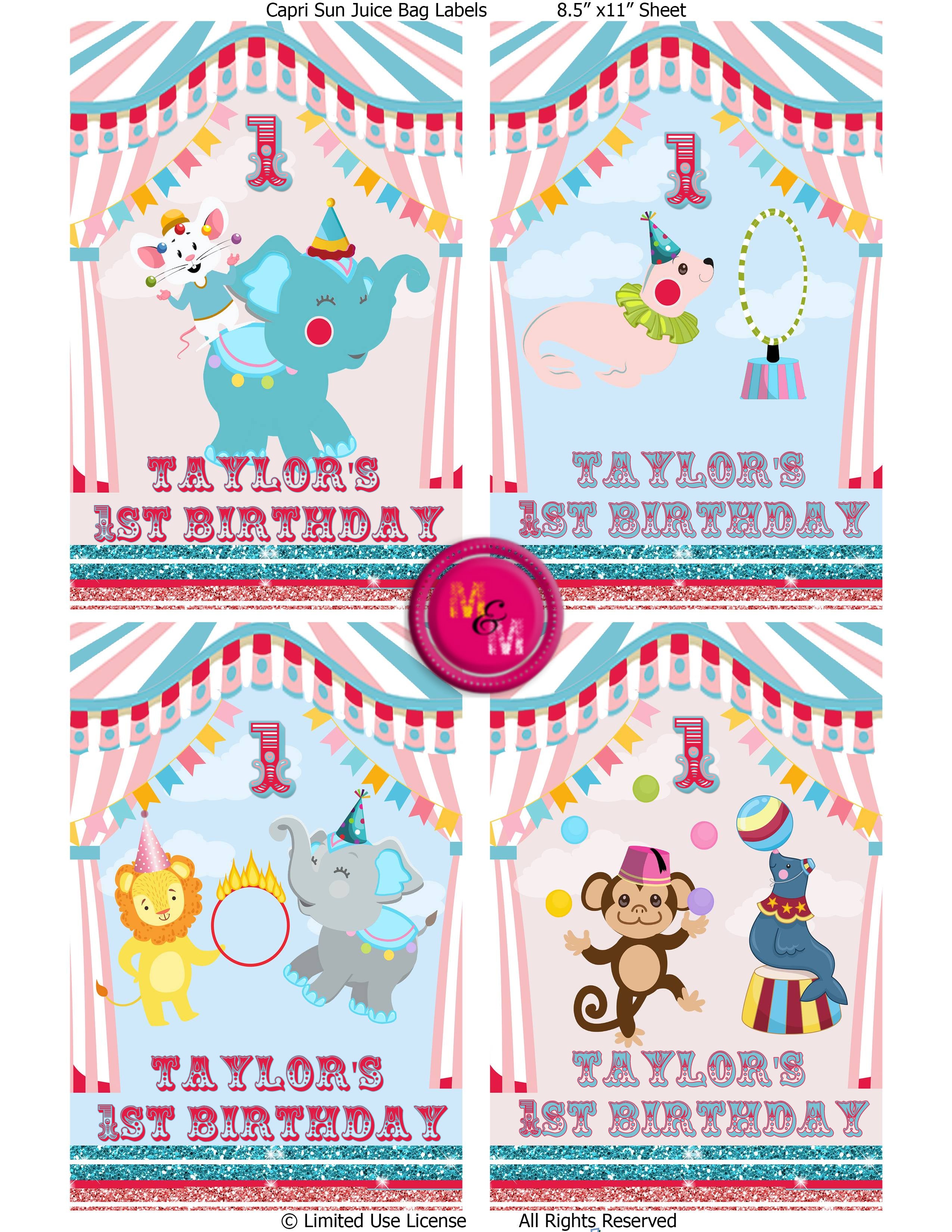 Editable Circus/Carnival Birthday Chip Bags & Juice Pouch Set, Circus Printables