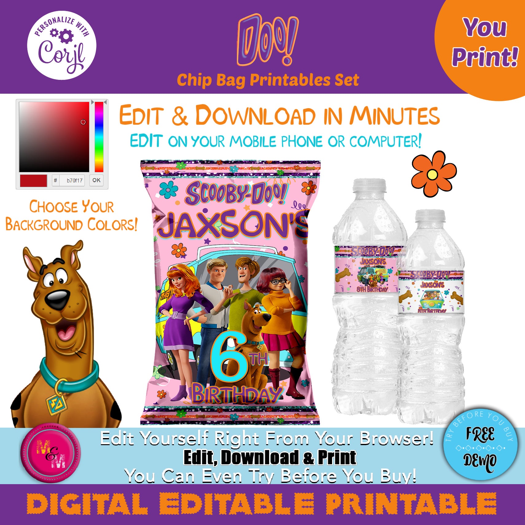 Editable Doo Chip Bag & Water Bottle Set, Doo Party Favors, DIY Doo Treat Bag